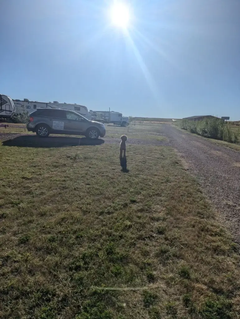 foxy lady at the wander-inn